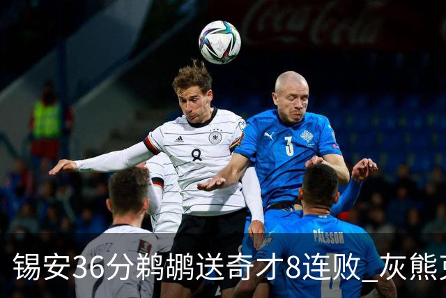 锡安36分鹈鹕送奇才8连败 灰熊克火箭止9连败